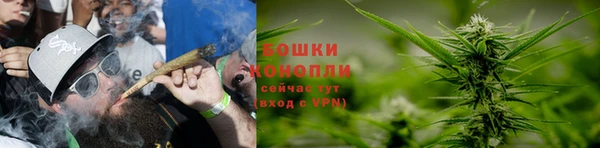индика Балабаново