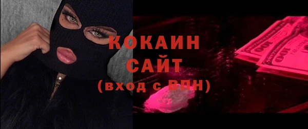spice Богородск