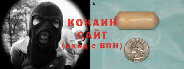 гашик Россошь
