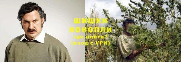 spice Богородск