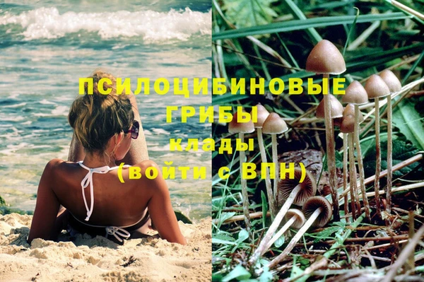 прущие крисы Богородицк