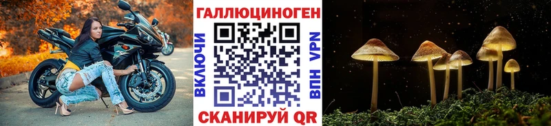 Галлюциногенные грибы Psilocybe это телеграм Белая Калитва